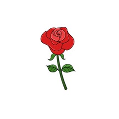 red rose illustration on white background - 693227440