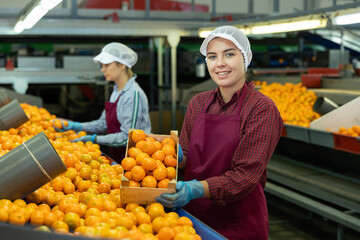 Happy young female worker of citrus sorting factory showing ripe selected mandarin oranges packed...