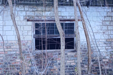 Obraz premium one broken window with bars on a white gray brick wall of a building on the street among trees and vegetation