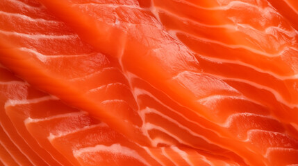Fresh salmon meat close-up