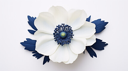 Fleur blanche sur un fond de couleur blanc, avec feuilles bleues. Motifs floral pour décoration, création graphique et conception.