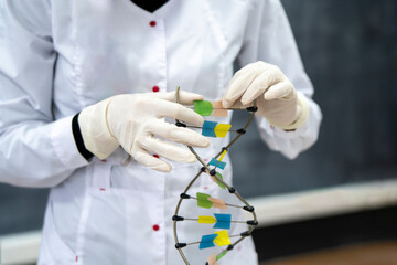 young asian professor in the university showing DNA model in classroom