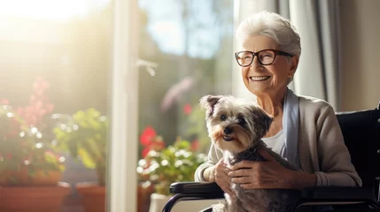 Poster portrait of happy elderly retired woman with handicap in wheelchair holding therapy dog © Barosanu