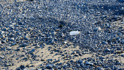 海岸に流れ着いたゴミ