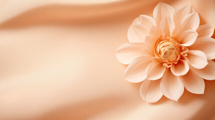 A close up of a flower on a cloth. Monochrome peach fuzz background.
