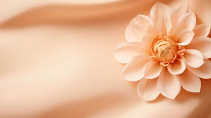 Foto op Plexiglas A close up of a flower on a cloth. Monochrome peach fuzz background. © tilialucida
