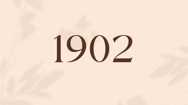 Vintage 1902 birthday, Made in 1902 Limited Edition, born in 1902 birthday design. 3d rendering flip board year 1902.