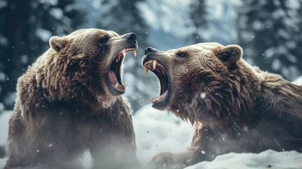 Foto op Aluminium close-up portrait of two big brown bears fighting with mouthes open with teeth and paws with claws © Barosanu
