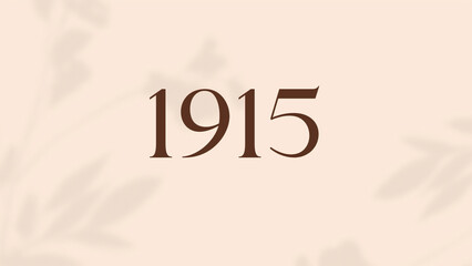 Vintage 1915 birthday, Made in 1915 Limited Edition, born in 1915 birthday design. 3d rendering flip board year 1915.