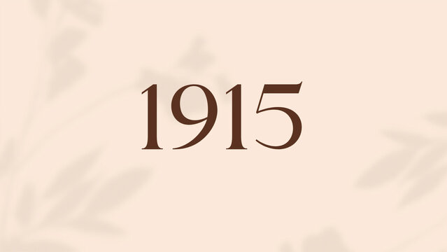 Vintage 1915 birthday, Made in 1915 Limited Edition, born in 1915 birthday design. 3d rendering flip board year 1915.