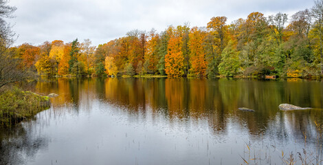 Silence over the lake - November landscape