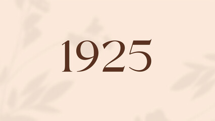 Vintage 1925 birthday, Made in 1925 Limited Edition, born in 1925 birthday design. 3d rendering flip board year 1925.