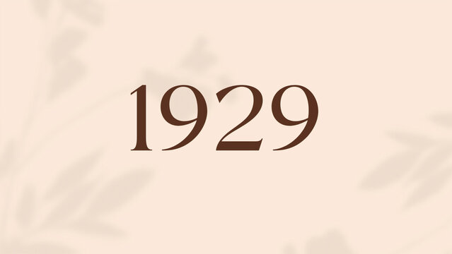 Vintage 1929 birthday, Made in 1929 Limited Edition, born in 1929 birthday design. 3d rendering flip board year 1929.