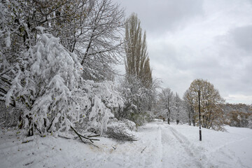 Winter Landscape of South Park in city of Sofia, Bulgaria