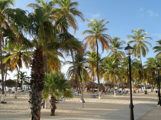 Playa Paraiso Caribe