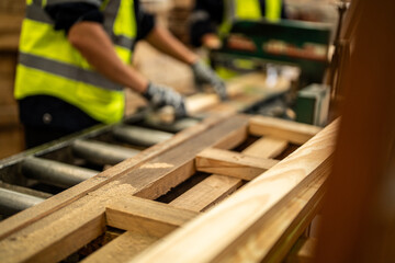 man cleaning timber wood in dark warehouse industry. Team worker carpenter wearing safety uniform...