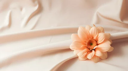 Foto auf Glas A single flower sitting on top of a white cloth. Monochrome peach fuzz background. © Ziyan