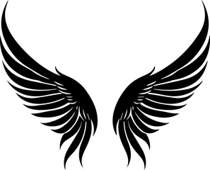 Obraz premium beautiful angel wings