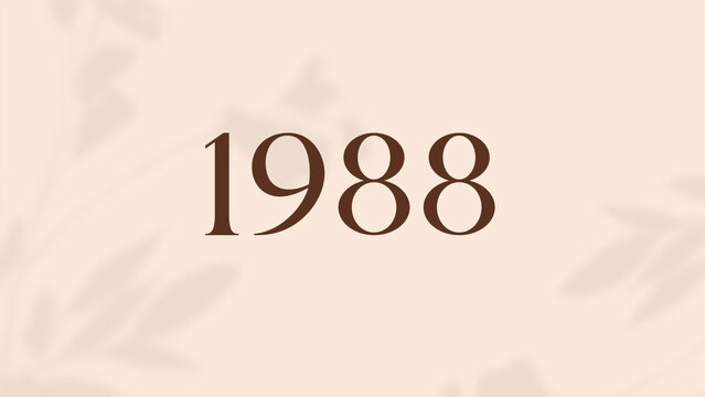 Vintage 1988 birthday, Made in 1988 Limited Edition, born in 1988 birthday design. 3d rendering flip board year 1988.