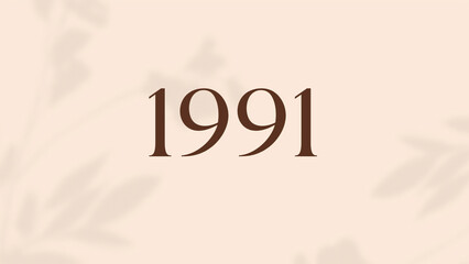 Vintage 1991 birthday, Made in 1991 Limited Edition, born in 1991 birthday design. 3d rendering flip board year 1991.