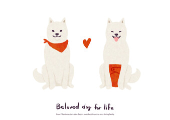 Illustration of a young dog wearing a red bandana and an old dog wearing a diaper.Shiba inu. Inspired by living with adopt dog for the rest of his life.