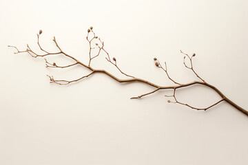 branch on a soft surface
