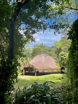 Indigenous village, primitive habitat, Indians, Brazil indigenous communities 