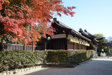 秋の下鴨神社　三井神社　京都市左京区