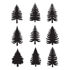Obraz premium Isolated Pine on the white background. Pine silhouettes. Tree hand drawn. Vector EPS 10. 