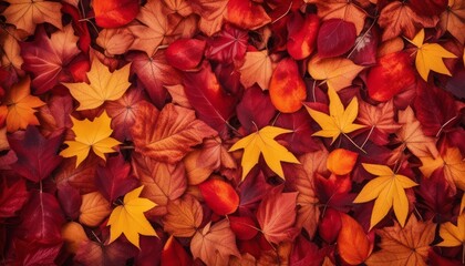 Fototapeta na wymiar A pile of red and yellow leaves