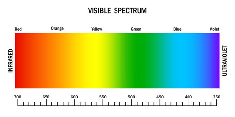 Visible light spectrum. Gradient diagram with wavelength and colors. Infrared and ultraviolet. Electromagnetic visible color spectrum for human eye. Vector illustration. EPS 10.
