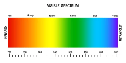 Foto op Plexiglas Visible light spectrum. Gradient diagram with wavelength and colors. Infrared and ultraviolet. Electromagnetic visible color spectrum for human eye. Vector illustration. EPS 10. © Лена Полякевич