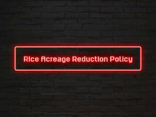 Rice Acreage Reduction Policy のネオン文字
