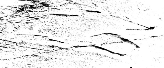 Vector seamless white concrete texture, abstract white grunge cement wall texture Transparent background.