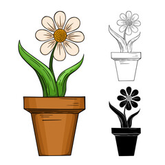 Home flower in pot vector illustration isolated on white background