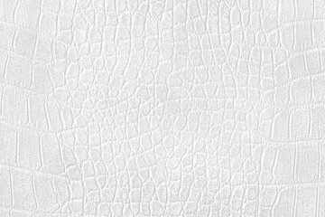 White Artificial Leather Texture Background