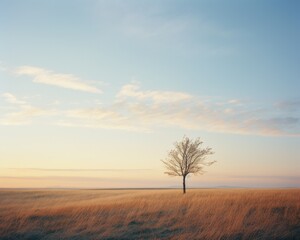 Fototapeta premium A lone tree stands in a field at sunset. Generative AI.