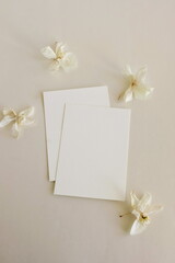 Greeting Cards mockup, empty white blanks, dry orchid flower buds top view on beige background with copy space. flat lay. Empty white  Blank, greeting card template, invitation.