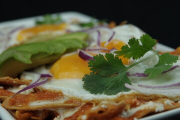 PHOTO FOOD RESTAURANT MENU PERSPECTIVES