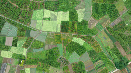 Aerial photography of farmland