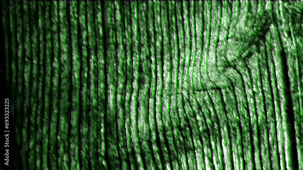 Aufkleber animation of moving and changing green texture and copy space on black background