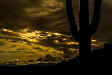 Distant monsoon storm with multiple layers of sharply defined storm clouds, roil and churn in the distance under the watchful guard of a mature Saguaro cactus.