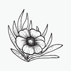 Flower coloring page hand drawn for kids vector black and white color