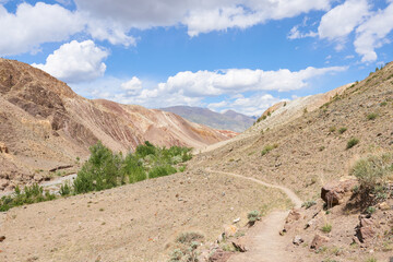 Hiking trail in the mountains in summer. Mountain Altai. Beautiful photo wallpaper of nature.