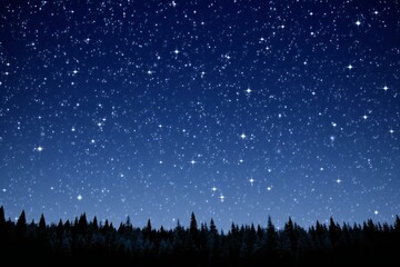 Night sky with stars and fir forest,  Christmas background