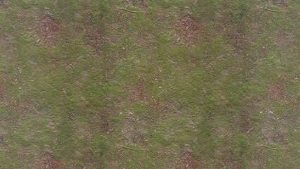 Green Grass Texture Pattern for Background Design