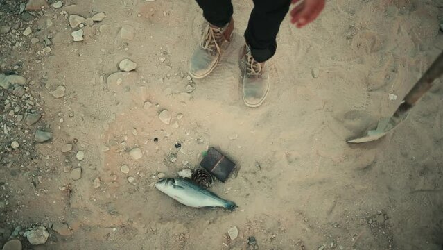 Person dropping a fish in the sand with a pine cone and a wallet. Slow motion