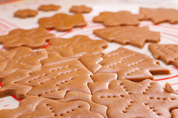 Gingerbread dough. Making gingerbread cookies for Holidays. Christmas cookies
