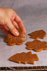 Women make gingerbread cookies for Holidays. Christmas cookies