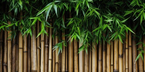 Tropical bamboo wall with wood texture, close-up. Flat lay, top view, copy space.